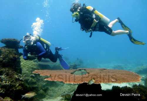 PADI Advance Open water course