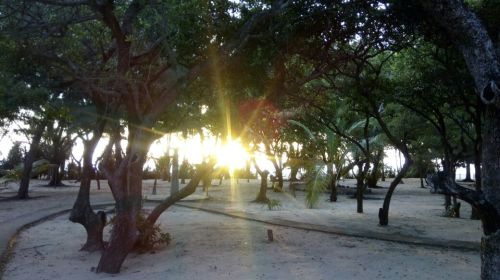 WhatsApp Image 2017-09-02 at 6.45.22 PM