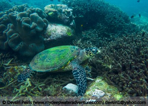 WhatsApp Image 2017-09-02 at 6.45.22 PM(1)