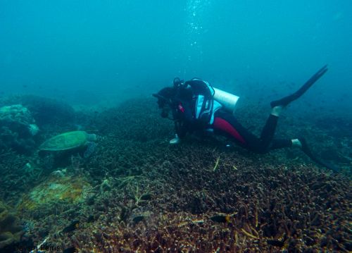 WhatsApp Image 2017-09-02 at 6.45.22 PM(2)