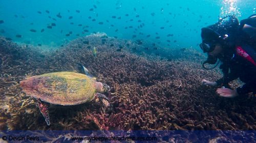 WhatsApp Image 2017-09-02 at 6.45.22 PM(3)